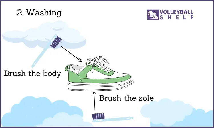 Brush the both body and outsole of shoes for cleaning