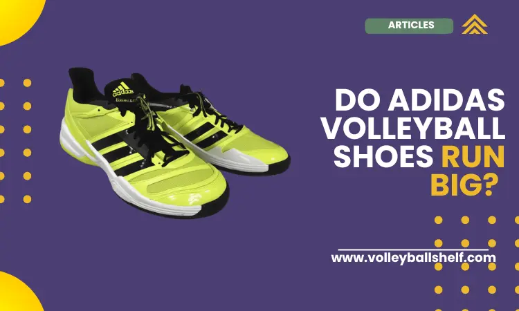 Do adidas volleyball shoes run big?
